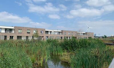 Dendermonde wonen