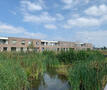 Dendermonde wonen